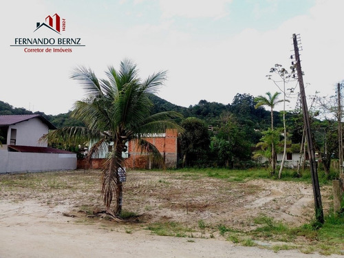 Imagem 4 de 13 de Terreno Comercial - Estaleirinho - Ref: 1882 - L-2392