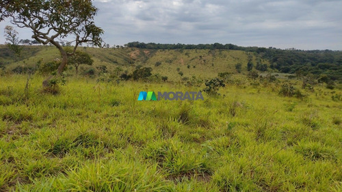 Imagem 10 de 15 de Fazenda - Zona Rural - Ref: 5134 - V-mta5134