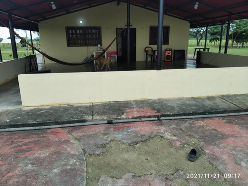 Imagen 9 de 13 de Finca Agropecuaria San Sivestre, Barinas En Venta