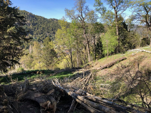 Imagen 8 de 30 de Terreno Apto Desarrollo Lote Centro 6686 M2 - San Martin De Los Andes