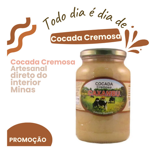 Doce Cocada Cremosa Artesanal De Minas Receita Caseira 680g