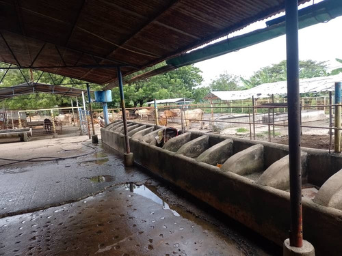 Imagen 18 de 25 de Finca En Venta En Libertador San Timoteo, Zulia