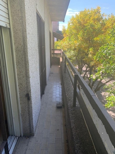 Imagen 6 de 20 de Departamento 3 Dormitorios Terraza Exclusiva Riccheri 1200