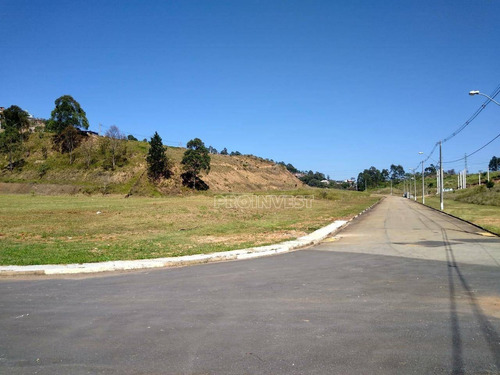 Imagem 9 de 20 de Pronto Para Construir - Área À Venda, 1872 M² Por R$ 2.808.180 - Parque Panorama Ii (fazendinha) - Santana De Parnaíba/sp - Ar0876