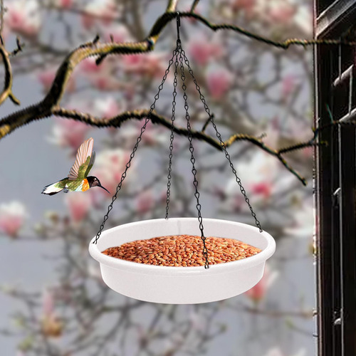 Birds Alimentador E Pássaro Tigela Tigela De Pássaro