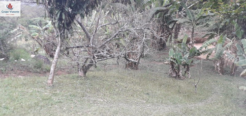 Imagem 10 de 15 de Chácara A Venda No Bairro Terra Preta Em Mairiporã - Sp. - Jv1164-1