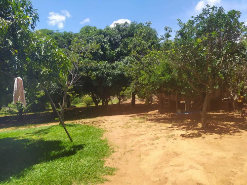 Vd Excelente Chacara 4.000m² -nova Petrópolis-planaltina-go