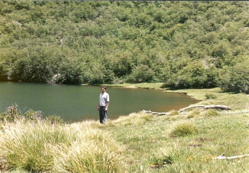 Agrícola Forestal - Inmobiliario En Venta En Tucapel