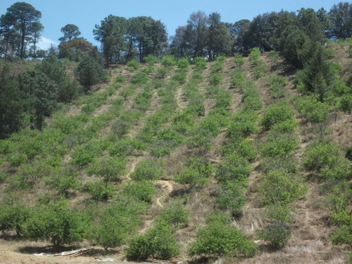 Imagen 3 de 8 de Terreno 32,000m² En San Joaquín Querétaro Con Escrituras