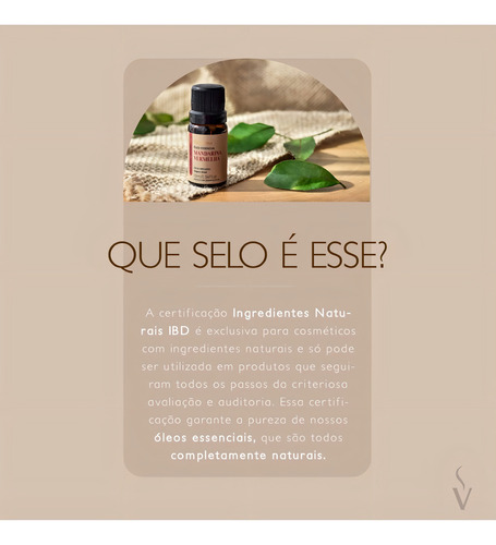 Óleo Essencial Menta Piperita Via Aroma - 10ml - Revigorante, traz energia e vitalidade.