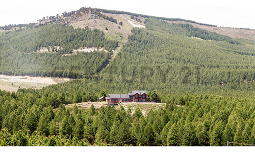 Venta Lote Villa Pehuenia