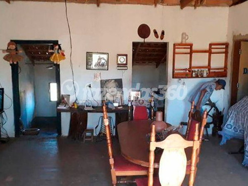 Imagem 3 de 12 de Rural Chacara Com 3 Quartos - 335-v