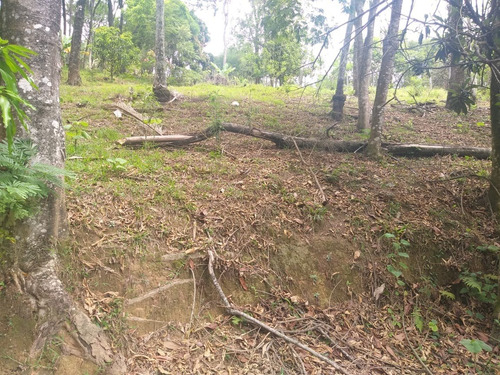 Terreno À Venda, Parque Pretoria - Franco Da Rocha/sp - 2171