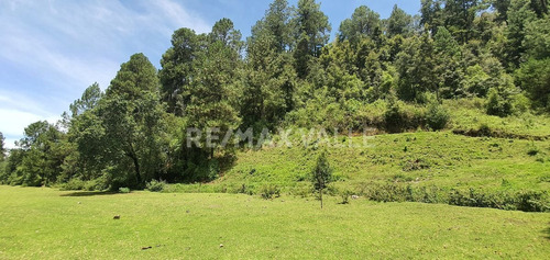 Imagen 14 de 18 de Terreno En Venta.