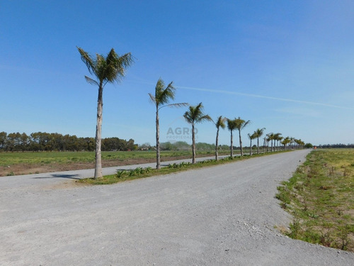 Imagen 10 de 27 de Lote - Venta - Praderas De Cardales - Alto Los Cardales - Zona Norte