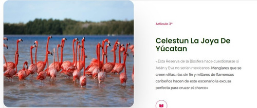 Imagen 14 de 14 de Qh5 4467 Telchac Yucatán Lotes De Inversión A 5 Min De Playa Yucatán