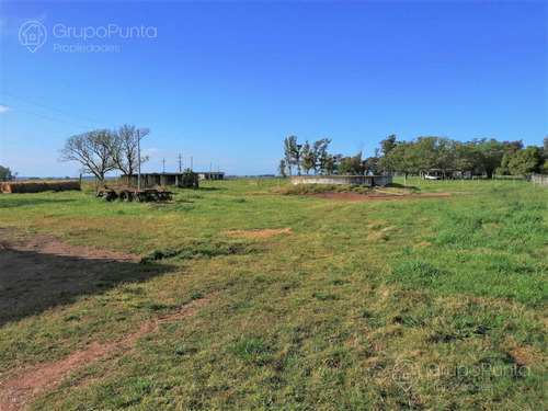 Campo En Venta - Salto