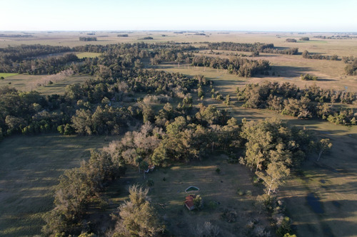 Imagen 3 de 7 de Campo En Venta 3,5 Has En Punta Indio