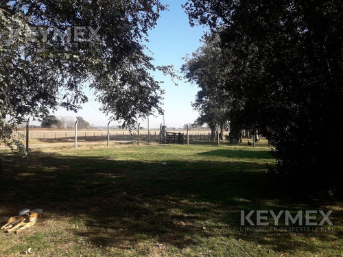 Venta 1 Hectarea Y Casa De Campo