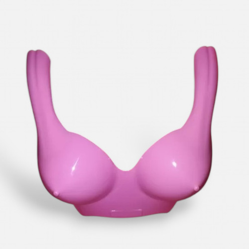 Porta Corpiños Trasparente -blanco-fucsia Etc. X 5 Unidades