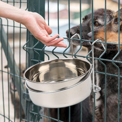 Cuenco Para Gatos, Jaula Para Perros, Cuenco Diámetro 20cm