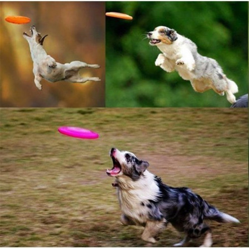Imagen 4 de 7 de Divertido Frisbee De Goma Para Juegos Ejercicios De Perros