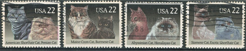 4 Selos Estados Unidos Gatos Fauna Animais Domésticos L.3260