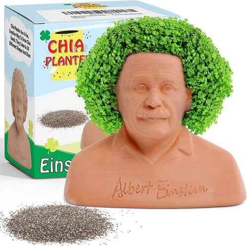 Maceta Decorativa Semillas De Chia Incluidas