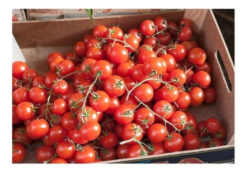Tomate Cherry Rapunzel (20) Super Dulces Racimos De Sabor