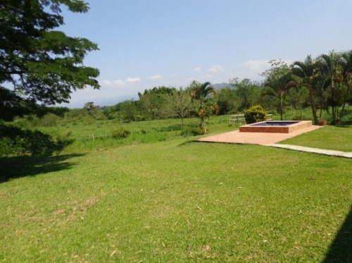 Imagen 26 de 29 de Venta Finca En Santagueda. Cod:305599