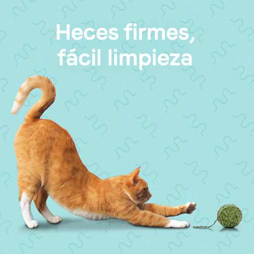 Canidae Para Gato Goodness For Digestion Real Chicken 4.5kg