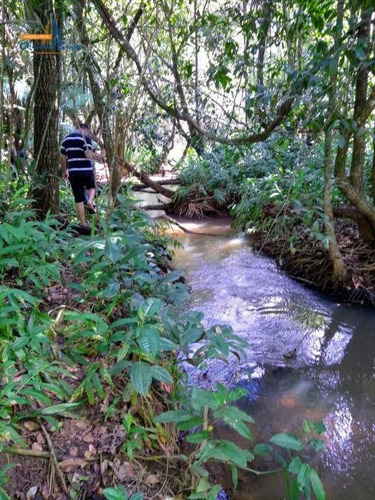 Chácara Com 3 Dormitórios À Venda, 15000 M² Por R$ 680.000,00 - Rural - Goianápolis/go - Ch0103