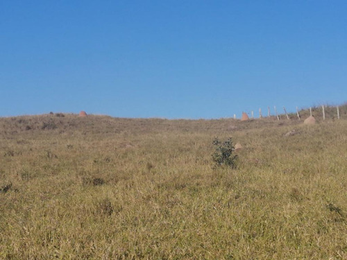Imagem 7 de 11 de R17-terreno Com Vista Privilegiada