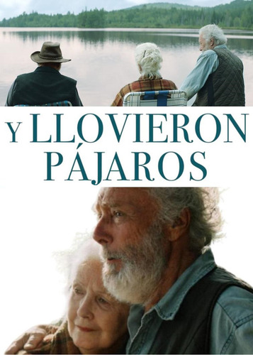 Dvd Il Pleuvait Des Oiseaux | Y Llovieron Pájaros (2019) (Usado)