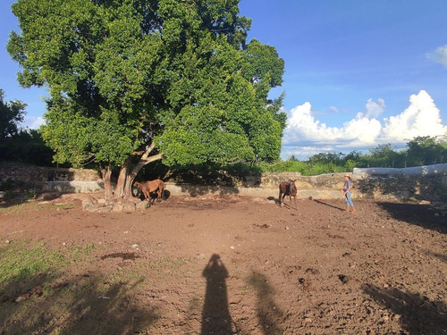 Hermoso Rancho A 4km De Tekit, Dentro Del Círculo De Cenotes