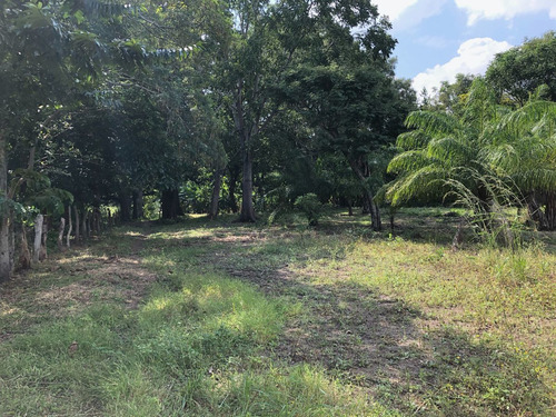 Terreno Campestre Con Servicios Zona Libramiento Sur Nuevo