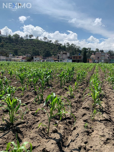 Imagen 3 de 11 de Terreno En Venta En San Diego, Ayapango, Estado De México