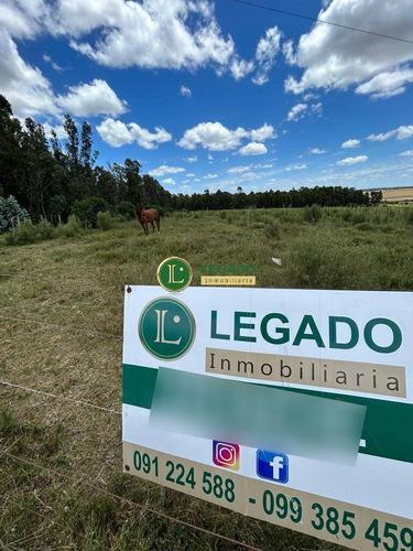 Venta De Chacras Al Norte De Ruta Inter. A 5 Minutos De San Luis!