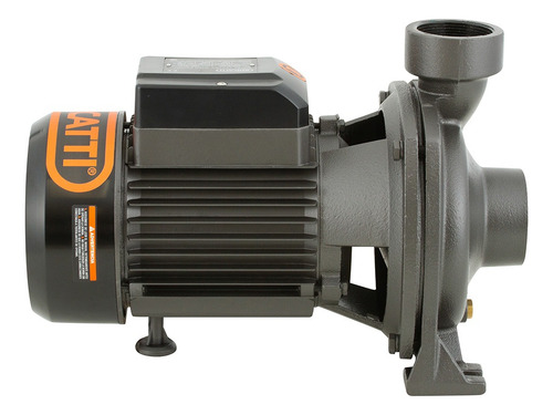 Bomba Superficie 2hp Centrífuga Gran Caudal Bercatti //cyj