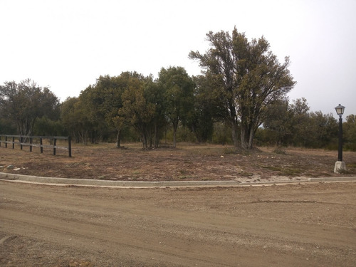 Imagen 10 de 18 de Lote En Venta En El Redil Lago Moreno Este, Bariloche