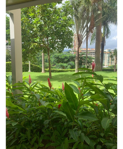 Vendo Apartamento 242m2 Santa Rosa De Lima 7344