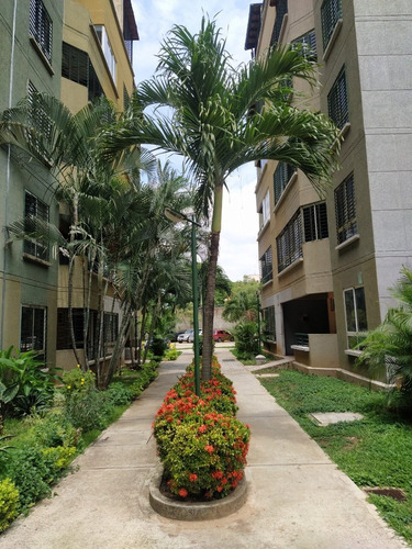 Imagen 12 de 14 de Cómodo Apartamento Apartamento En Pb