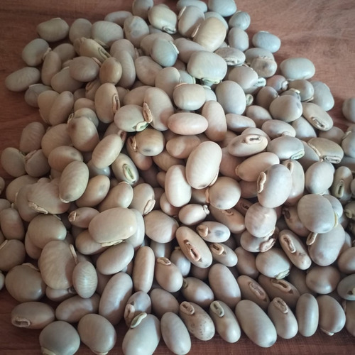 Polvo De Frijol Mucuna (5 Kg)