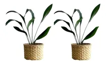 Comprar Promo! 2 Canastos Cilíndricos \u002F Maceteros De Junco Grandes