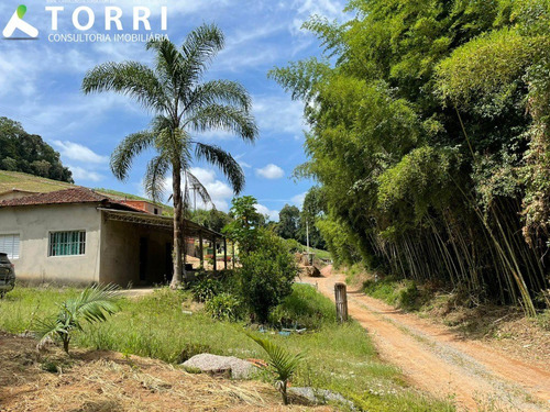 Imagem 1 de 30 de Chácara Á Venda 14.000,00 Metros No Bairro Dos Luz - Ch00418 - 70503143