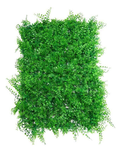 5 Placa De Avenca Verde 40x60 Jardim Vertical Artificial