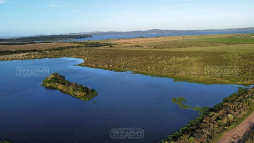 Imagen 3 de 5 de Chacra Lote Chacras De La Laguna Terreno Campo En Venta Ubicado En Laguna Del Sauce, Punta Del Este, Punta Del Este / Maldonado