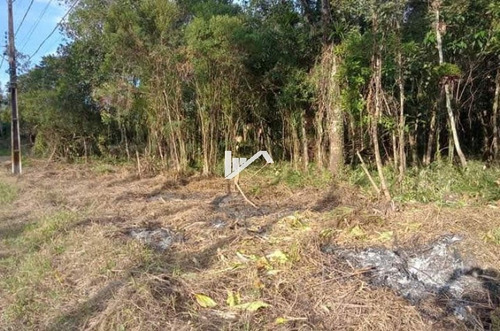 Imagem 8 de 11 de Terreno De Chácara À Venda - 1250 M² - Ch169 R