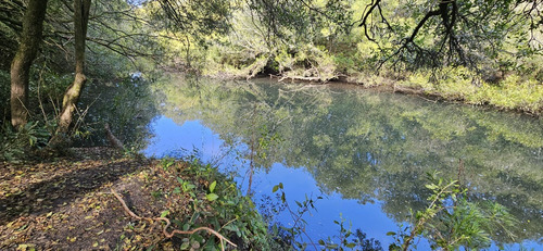 Rocha 277 Has Buen Campo Ganadero Forestal Costa De Arroyo Sobre Camino Vecinal A 10 Km Ruta 9