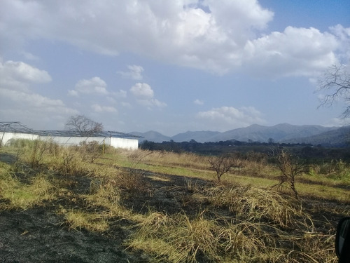 Imagen 14 de 14 de (+58 4144713559 Angela Giron) En Venta Finca En Bejuma, Carabobo. 58ha, 6hab, 2bañ, 6pe. .belgi.